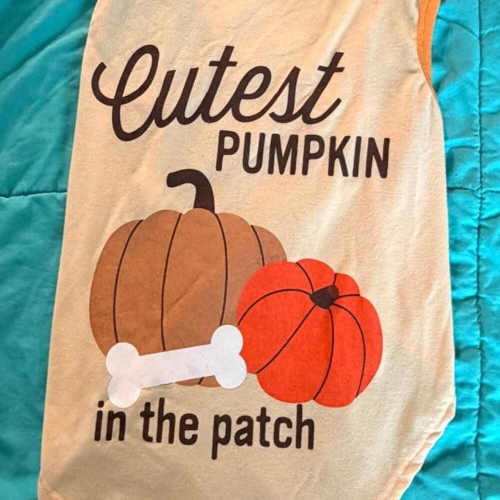 Cutest Pumpkin in the Patch pet shirt